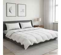 Ensemble de couette 90 % en duvet d’oie FULDA 3 pièces Blanc canard vidaXL vidaX