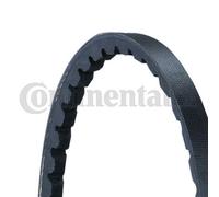 Ensemble De Courroies En V CONTINENTAL CTAM 2XAVX10X1075 Pour KIA, MITSUBISHI