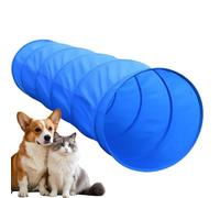 Ensemble De Cours D'agilité Pour Chien, Jeu D'exercice Portable Pour Chien