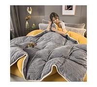 Ensemble de Couvercle de Couette TFBHL Ensemble de literie en Molleton de Coral Coral avec Couvercle de Couette de taie d'oreiller de lit de lit 4pc Coquette de Couette de Couette