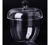 Ensemble de creusets en quartz résistant aux hautes températures - Options 10 ml, 100 ml, 200 ml - et verre à haute perméabilité(300ML 1pcs)