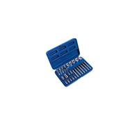 Ensemble De Douilles Et D'Embouts Sealey AK619 1/4" / 3/8" / 1/2"