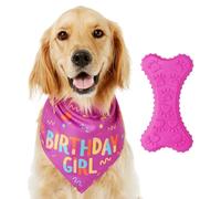 Ensemble de Fête d'Anniversaire pour Chien Rose - Écharpe, Jouet en Os, Écharpe de Noël, Bonnet de Fête