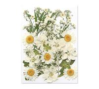 Ensemble de Feuilles de Fleurs séchées pressées Naturelles, pour la Fabrication de Bijoux, Scrapbooking, Cadre Photo, étui de téléphone, Marque-Pages, décorations, Bijoux en résine époxy