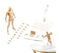 Ensemble de figurines d'action Shf de 5,9 po | Figurines d'action Body Kun avec articulations mobiles, modèles de figurines de dessin pour artistes, modèle Body-Chan DX en PVC, ensemble d'art modèle