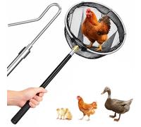 Ensemble de filet de capture poulets avec poteau télescopique 1, 5 m et... | Kit de ferme/arrière-cour, attrape la volaille, utilisation sûre sur longue distance, acier inoxydable