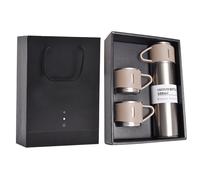 Ensemble De Flacons Sous Vide En Acier Inoxydable Avec PoignéE, Ensemble De Tasses IsoléEs Portables Pour La Maison, Le Bureau Et Les Affaires, Couleur Acier