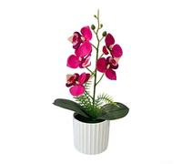Ensemble de fleurs d'orchidée artificielles avec cinq fleurs détaillées montées dans un pot vertical pour décoration florale d'intérieur tout au long de l'année (rose rouge)