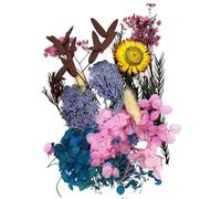 Ensemble de fleurs séchées naturelles à faire soi-même avec tiges pour vase, chrysanthèmes séchés et mini bouquets de fleurs séchées pour bijoux en résine, cadres photo, sous-verres, bougies (violet)