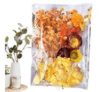 Ensemble de fleurs sèches d'artisanat - Collection éternelle de la botanique, mélange de décoration de bricolage artistique pour fabrication de bougies, art en résine, cadeaux faits à la main | Notebo