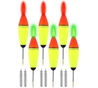 Ensemble de flotteurs de pêche en mer avec flotteurs externes en EVA, couleur vive et piles CR425 pour une utilisation de nuit, pêche en mer, flotteur de rive, flotteur nocturne en EVA fluorescent