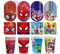 Ensemble de fournitures de décoration pour fête d'anniversaire sur le thème de l'araignée, gobelets, assiettes, serviettes pour la décoration d'anniversaire des enfants, baby shower Tablecloth 1Pcs-1