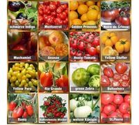 Ensemble de graines de tomates - ZOKKO - 16 variétés - Graines 100% naturelles - Haut taux de germination