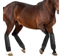 Ensemble de guêtres anti-mouches réglables for chevaux, protection des pattes for chevaux, anti-piétinement, guêtres anti-mouches en maille respirante for l'entraînement des équipements équestres(M)