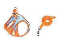Ensemble de harnais doux pour petits chiens - Harnais en maille Step-In-Air - Laisse - Gilet pour chien facile à marcher - Réglable - Réfléchissant - Pas de traction - Harnais pour chien de petite