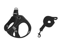 Ensemble de harnais doux pour petits chiens - Harnais en maille Step-In-Air - Laisse - Gilet pour chien facile à marcher - Réglable - Réfléchissant - Anti-traction - Harnais pour petits (D, 2XS)