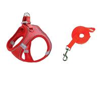 Ensemble de harnais doux pour petits chiens - Harnais en maille Step-In-Air - Laisse - Gilet pour chien facile à marcher - Réglable - Réfléchissant - Anti-traction - Harnais pour petit chien (E, L)