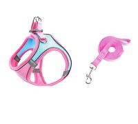 Ensemble de harnais doux pour petits chiens - Harnais en maille Step-In-Air - Laisse - Gilet pour chien facile à marcher - Réglable - Réfléchissant - Pas de traction - Harnais pour chien de petite