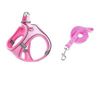 Ensemble de harnais doux pour petits chiens - Harnais en maille Step-In-Air - Laisse - Gilet pour chien facile à marcher - Réglable - Réfléchissant - Pas de traction - Harnais pour chien de petite