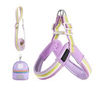 Ensemble De Harnais Et De Sangle De Chien - 7.87x7.09x0.79 Pouces Outil D'ajustement Ergonomique Pour L'entraînement, La Marche, Le Parc, La Course, Le Gilet De Chiot Réglable Avec Accessoire De Sac D