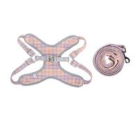 Ensemble de harnais et laisse pour animaux de compagnie, gilet d'entraînement réfléchissant, sangle de collier de poitrine réglable pour la marche nocturne, Mini cochons Orange (XXS)