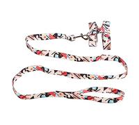 Ensemble de Harnais et Laisse pour Chat, Harnais pour Animaux de Compagnie en Nylon réglable et résistant à l’évasion avec Corde de Traction pour Chats et Chatons, Boucles à dégage (M)