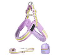 Ensemble de harnais et sangle pour chien, harnais réglable pour petit chien, ajustement ergonomique, outil de sécurité avec sac pour l'entraînement, la marche urbaine, le parc, la cour, la randonnée