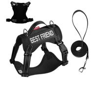 Ensemble de harnais pour chat - Harnais réglable anti-éclatement avec bande réfléchissante - Harnais de sécurité léger comme collier d'entraînement pour les petites, moyennes et grandes