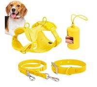 Ensemble de Harnais pour Chien Chien de Taille Moyenne,Ensemble de Harnais | Harnais pour chien avec laisse, collier de sécurit