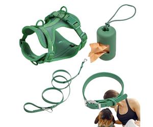 Ensemble de Harnais pour Chien de Petite Taille, Ensemble de Harnais pour | Ensemble de laisses imperméables pour chiens pour le jo Légumes verts