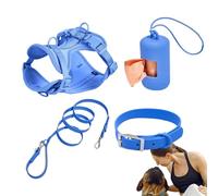Ensemble de Harnais pour Chien, Ensemble de Harnais pour Petits Chiens | Ensemble collier et laisse de harnais pour petit animal de co