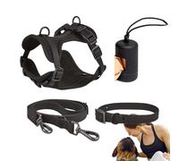 Ensemble de harnais pour chien taille moyenne,Ensemble petit sans harnais à tirer collier et laisse animaux laisse assortie réglable