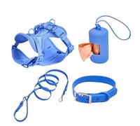 Ensemble de harnais pour chiens de petite taille - Collier réglable - Ensemble de laisse multifonction pour chiens de taille moyenne - Facile à marcher, pour les jours - Réglable