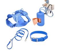 Ensemble de harnais pour chiens de petite taille, taille moyenne | Harnais pour chien - Sans traction - Pour chiens de taille moyenne - Ensemble de laisse multifonction, facile à pieds, pour J