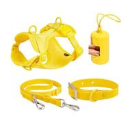 Ensemble de harnais pour petits chiens - Harnais sans traction pour chiens de taille moyenne - Ensemble de laisse multifonction pour chiens de taille moyenne - Facile à marcher, pour tous les jours