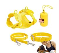 Ensemble de harnais pour petits chiens - Laisse pour chien