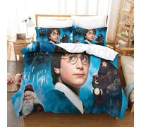 Ensemble De Housse De Couette Ensemble De Literie Harry Potter Housse De Couette Personnages De Film
