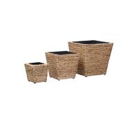 Ensemble de jardinières surélevées en jacinthe d'eau - VidaXL - 3 tailles - Cadre en acier