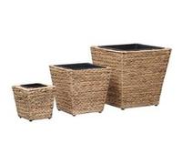Vidaxl Lits Surélevés De Jardin 3 Pcs Jacinthe D'eau