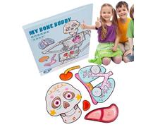Ensemble De Jeu D'anatomie - 8,07 X 12,6 X 3,94 Pouces, Jeu D'orgue Éducatif, Jouet d'apprentissage pour | Accueil École Préscolaire Maternelle Éducation STEM Style De Dessin Animé Ludique IDE