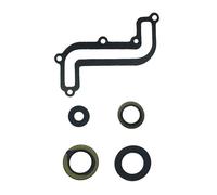 Ensemble de joints de moteur remplace les modèles Briggs & Stratton Lawn 791797 699638 698680 697000