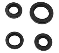 Ensemble de joints d'huile moteur 4 pièces, compatible avec Agility50 DJS50 Filly50 Like50 People50 Nexxon50 Sento50 temps