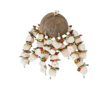 Ensemble de jouets à mâcher en forme de coquillage pour perroquet, cage à mâcher, jouet à mâcher à suspendre, accessoire d'enrichissement | Cage à oiseaux pour macaws, cacatoos, perruches grises