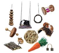 Ensemble de Jouets à mâcher pour Hamster, Jouets en Bois pour Rat, Petits Animaux, Brise-Ennui, Boule de Hamster, balançoire pour Accessoires Cage à Rat, 10 pièces