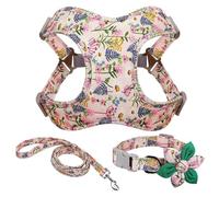 Ensemble De Laisse De Collier De Harnais De Chien sans Traction Imprimé en Nylon Durable Ensemble De Laisse Et De Collier De Harnais De Carlin De Bouledogue Français Chihuahua Harnais De Dre