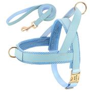 Ensemble de laisse de harnais de chien personnalisé harnais de gilet de chien rembourré doux gilets de boucle d'identification d'animal de compagnie personnalisés gratuits avec corde de plomb pour chiens carlin