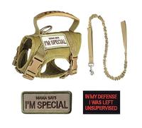 Ensemble de Laisse de Harnais pour Chat,Gilet Imperméable pour Chien avec Boucle À Anneau en D pour L'entraînement Sportif de Plein Air