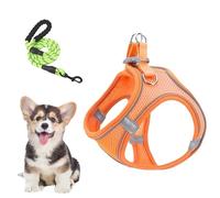 Ensemble de laisse de harnais pour chien, harnais de câblage de taille moyenne, 24 x 28 cm, preuve d'évasion avec sangles réfléchissantes, gilet pour chiot, , chat pour la randonnée, le camping