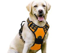 Ensemble de laisse de poitrine pour animal de compagnie, laisse rétractable en nylon pour grand chien, sangle de poitrine sûre et confortable pour promener les chiens, plusieurs tailles et couleurs
