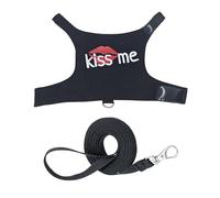 Ensemble De Laisse Et Harnais pour Dragon Barbu | Harnais en Toile Lumineux Respirant Réglable pour Animal De Compagnie,Vêtements pour Dragon Barbu | pour Sortie Extérieure Voyage Transport Quotidien